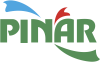Pınar